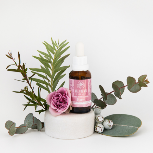 Naughty Naturopath Mum - Bloom Wild Flower Essence