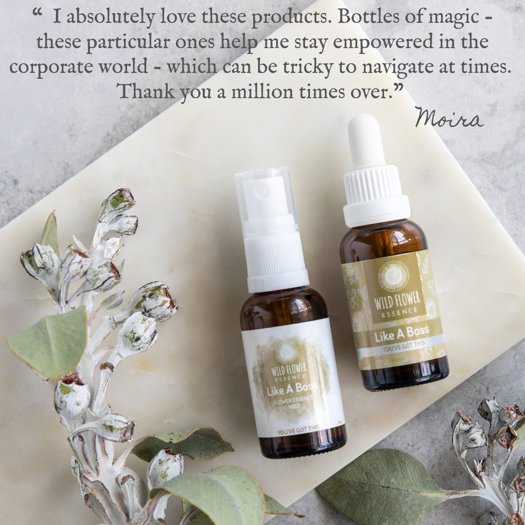 Like A Boss Duo Pack blend and mist