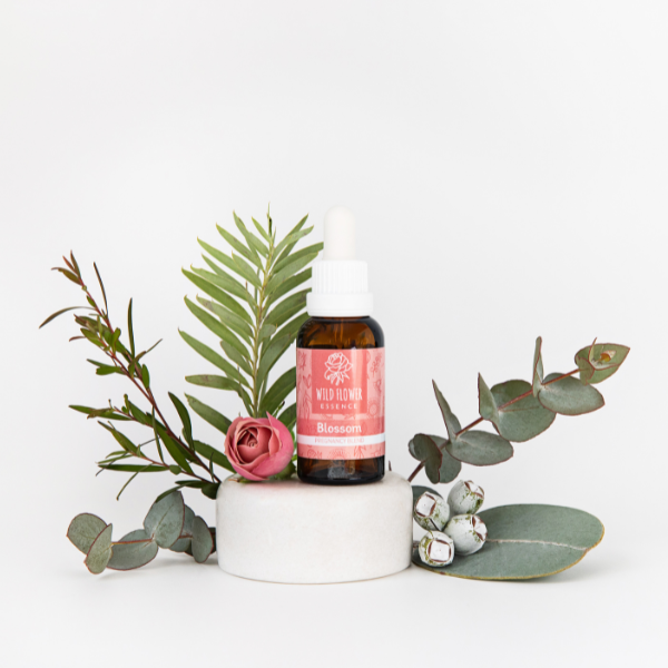 Naughty Naturopath Mum - Blossom Wild Flower Essence