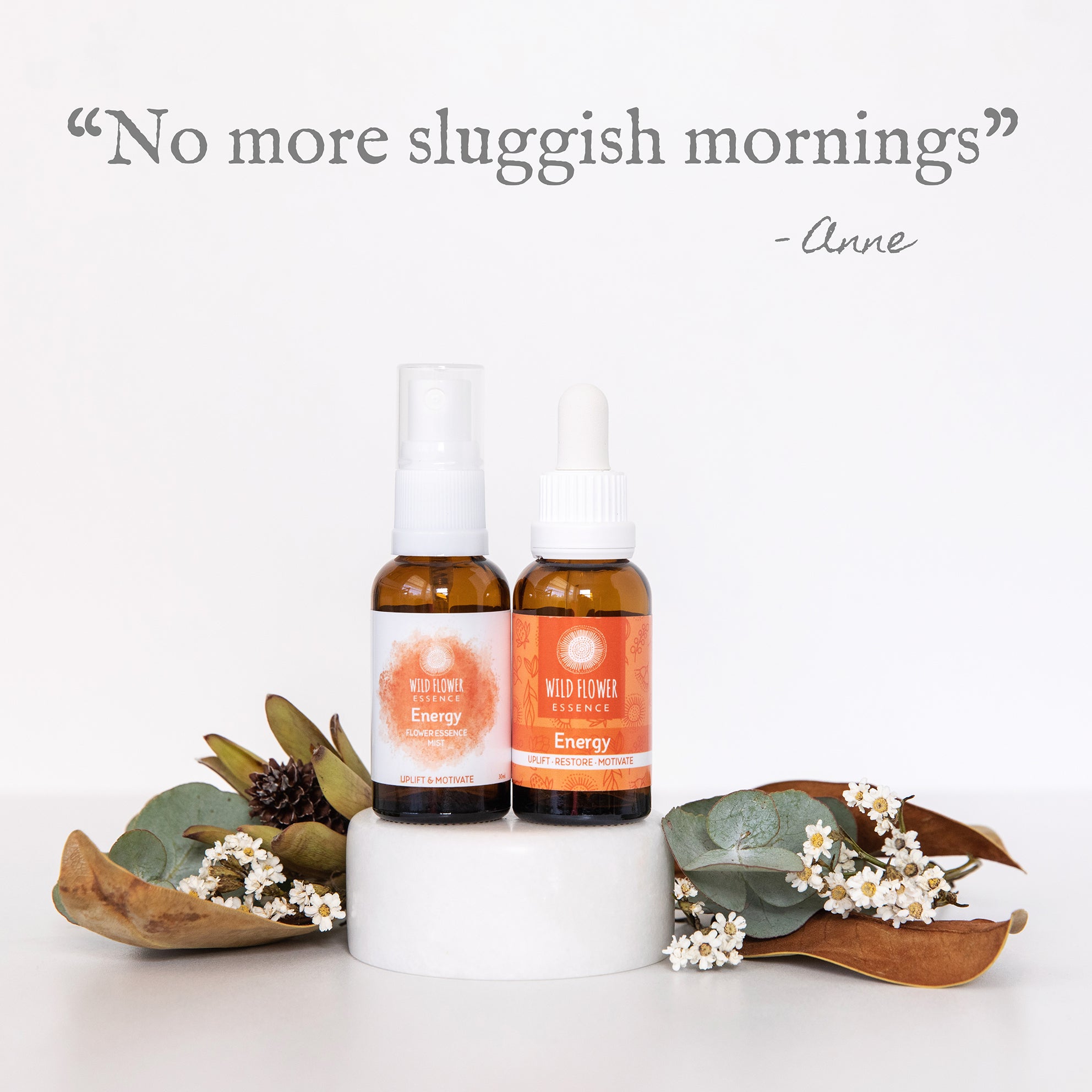 Energy Duo Pack blend and mist