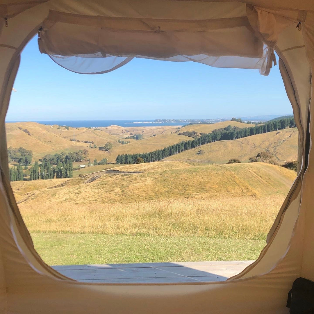 'Ask Alisha' - Camping with Kids and Grounding
