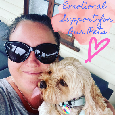 Emotional Support for Our Pets