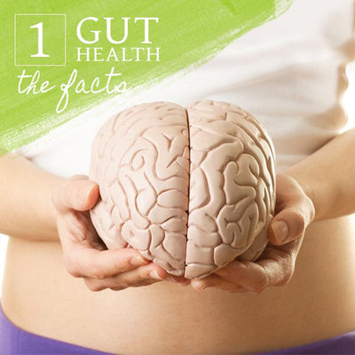 Gut Health - The Facts