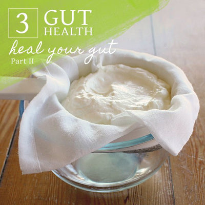 Gut Health - Heal Your Gut (Part II)