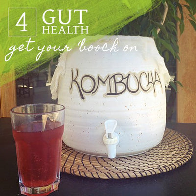 Gut Health - How to Make Kombucha OR Let's Get our 'Booch' On!