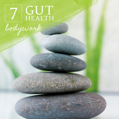 Gut Health - Heal Your Gut with Bodywork