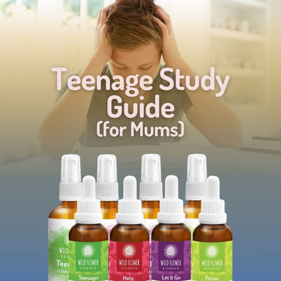 Teenage Study Guide (for Mums)
