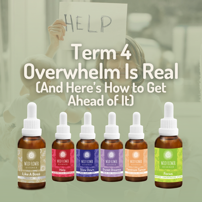 Term 4 Overwhelm Is Real (And Here’s How to Get Ahead of It)