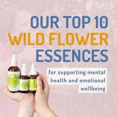 Our Top 10 Wild Flower Essences to Support Your Mental Health Journey