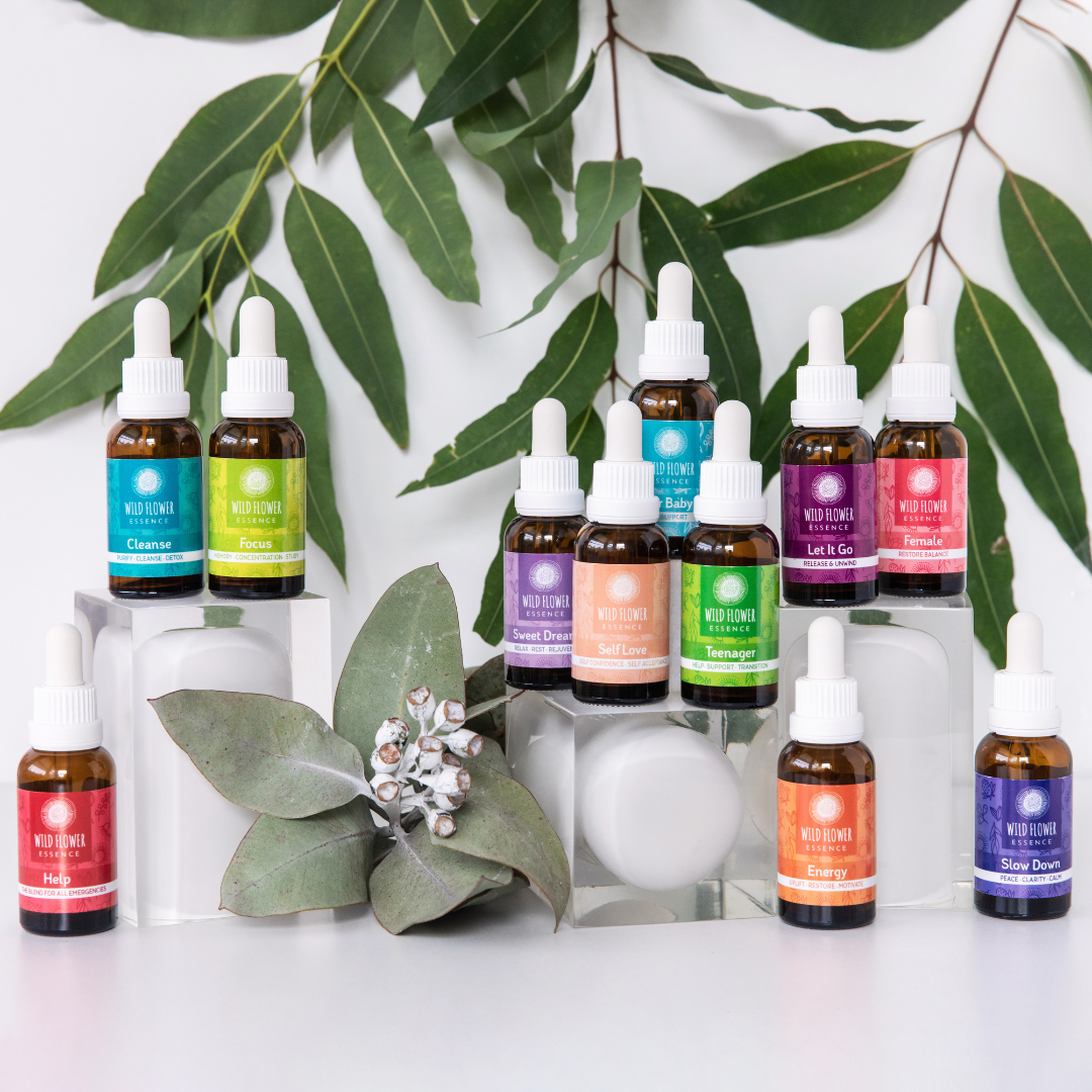 10 Reasons Why People Are Obsessed With Our Wild Flower Essences