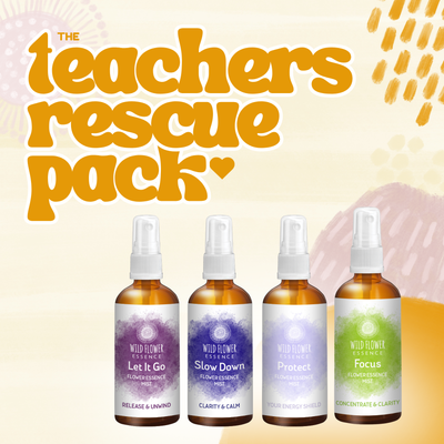 Teacher's Rescue Pack
