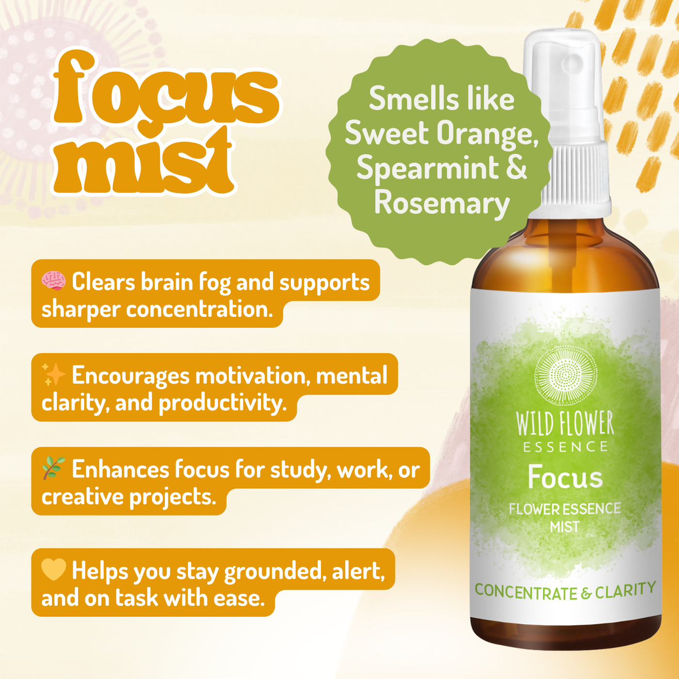 Teacher's Rescue Pack