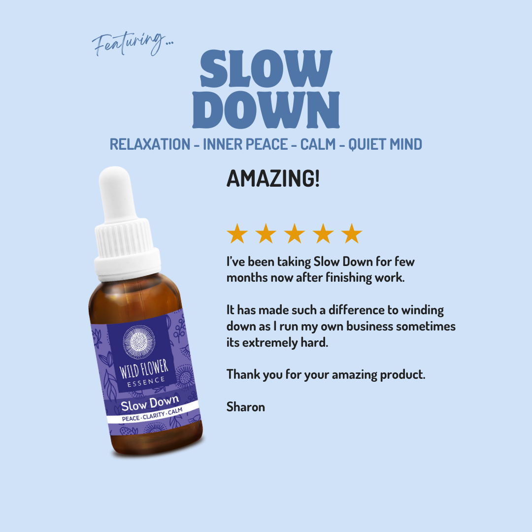 The Complete Family Starter Pack