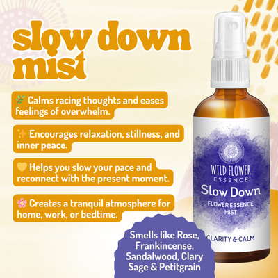 Teacher's Rescue Pack