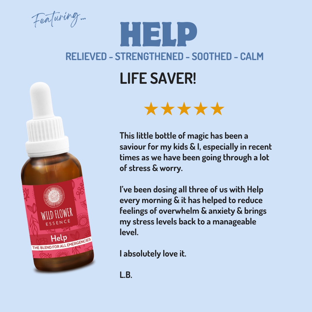 The Complete Family Starter Pack