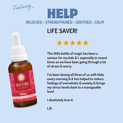 The Complete Family Starter Pack