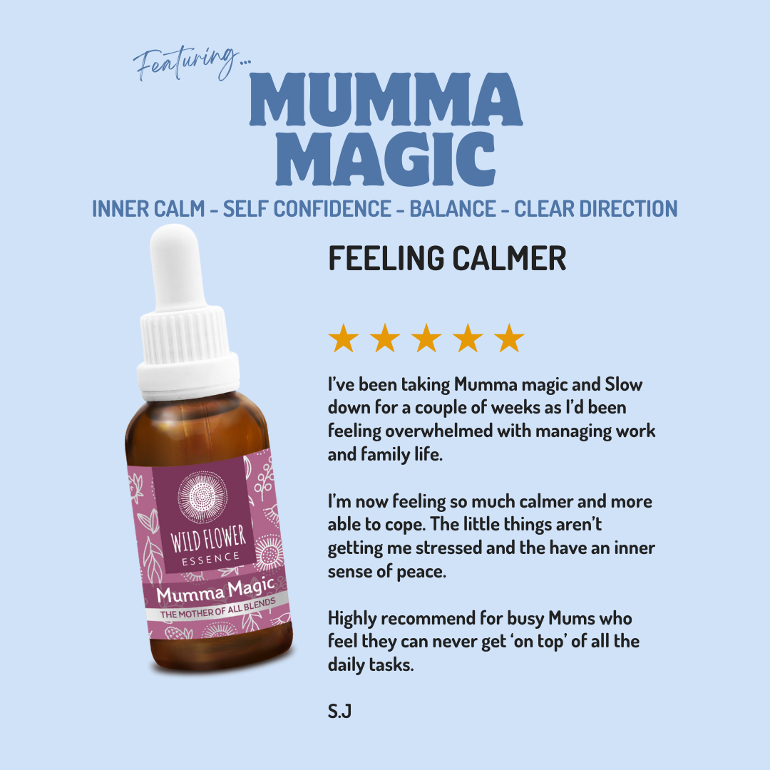 The Complete Family Starter Pack