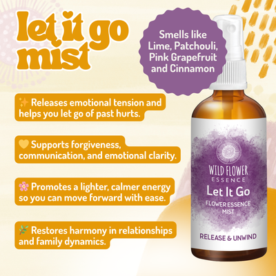 Teacher's Rescue Pack