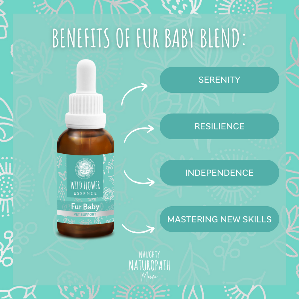 Naughty Naturopath Mum - Fur Baby Wild Flower Essence