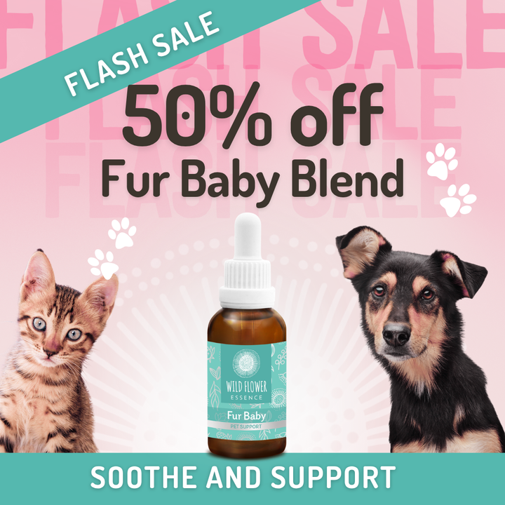 Fur Baby - Pet Support Flower Essence