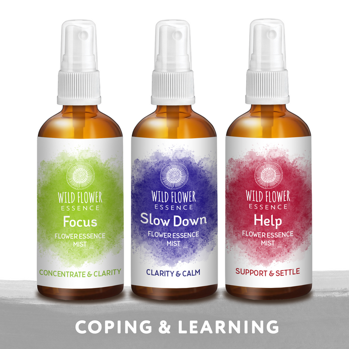 Naughty Naturopath Mum - Mind-Full Mist Pack