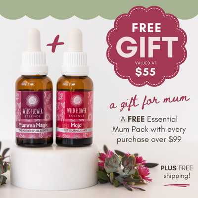 Essential Mum Pack