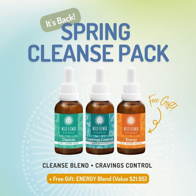 Spring Cleanse Pack