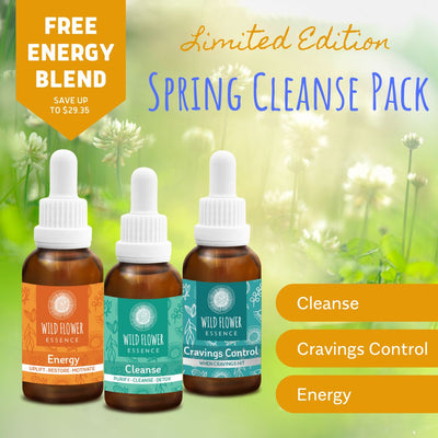 Spring Cleanse Pack