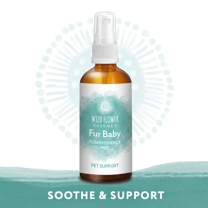 Naughty Naturopath Mum - Fur Baby Mist