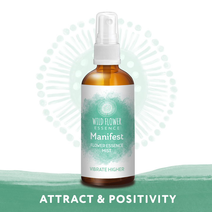 Naughty Naturopath Mum - Manifest Mist