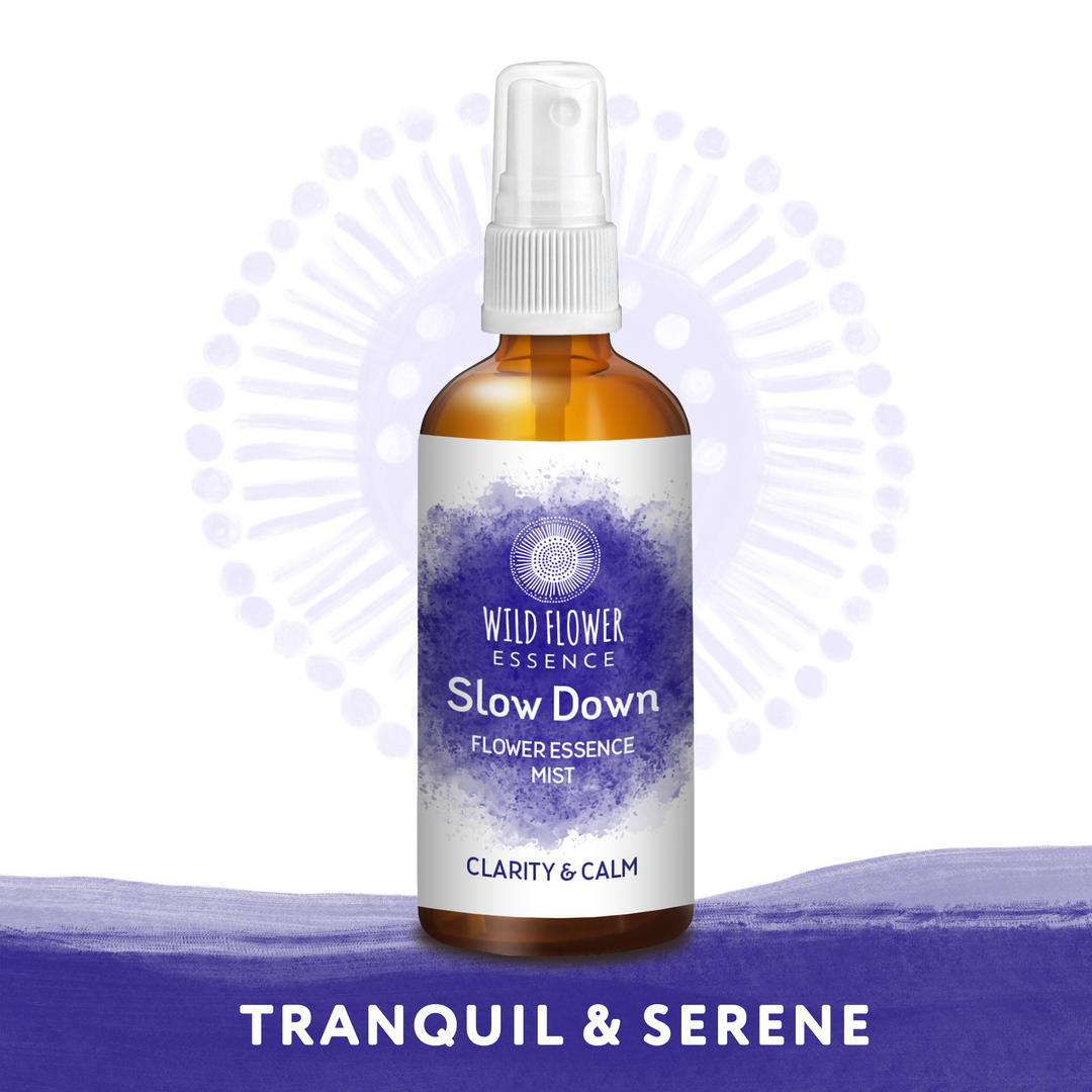 Naughty Naturopath Mum - Slow Down Mist