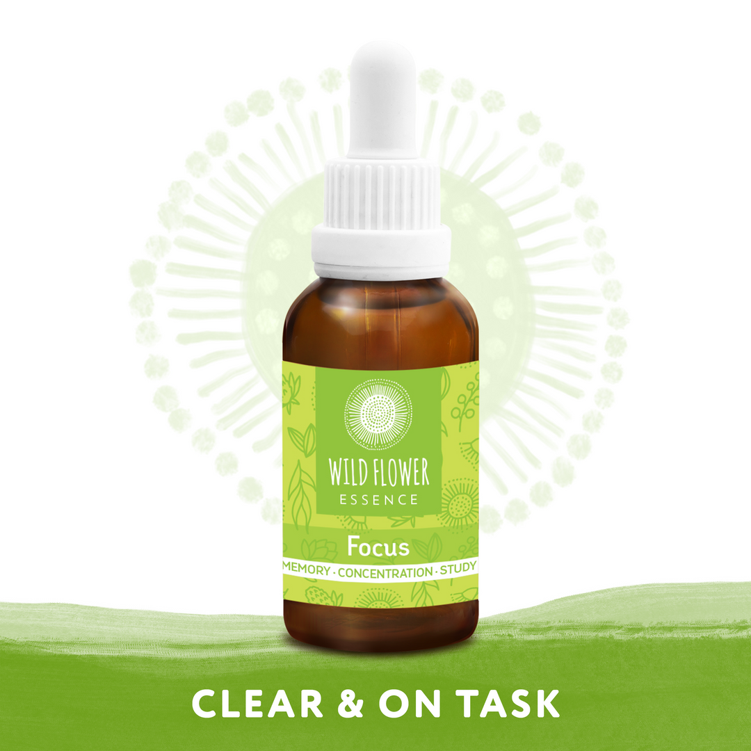 Naughty Naturopath Mum - Focus Wild Flower Essence