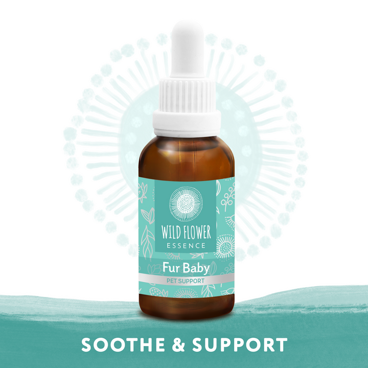 Naughty Naturopath Mum - Fur Baby Wild Flower Essence