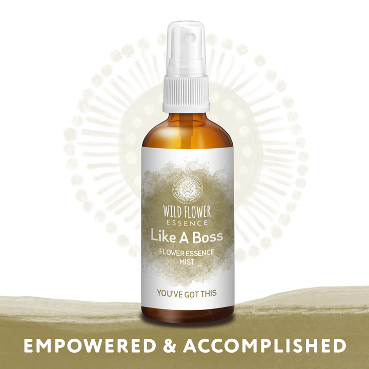 Naughty Naturopath Mum - Like A Boss Mist