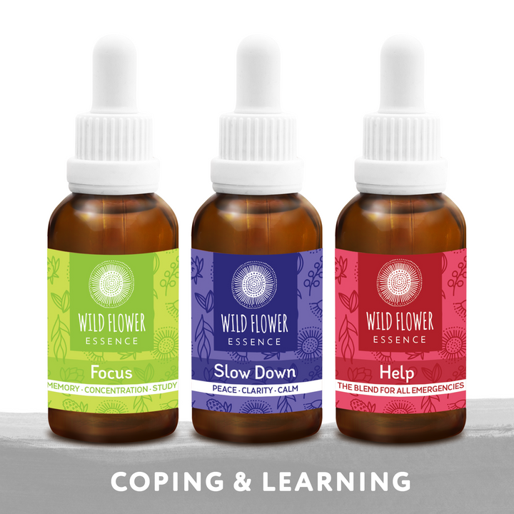 Mind-Full Pack