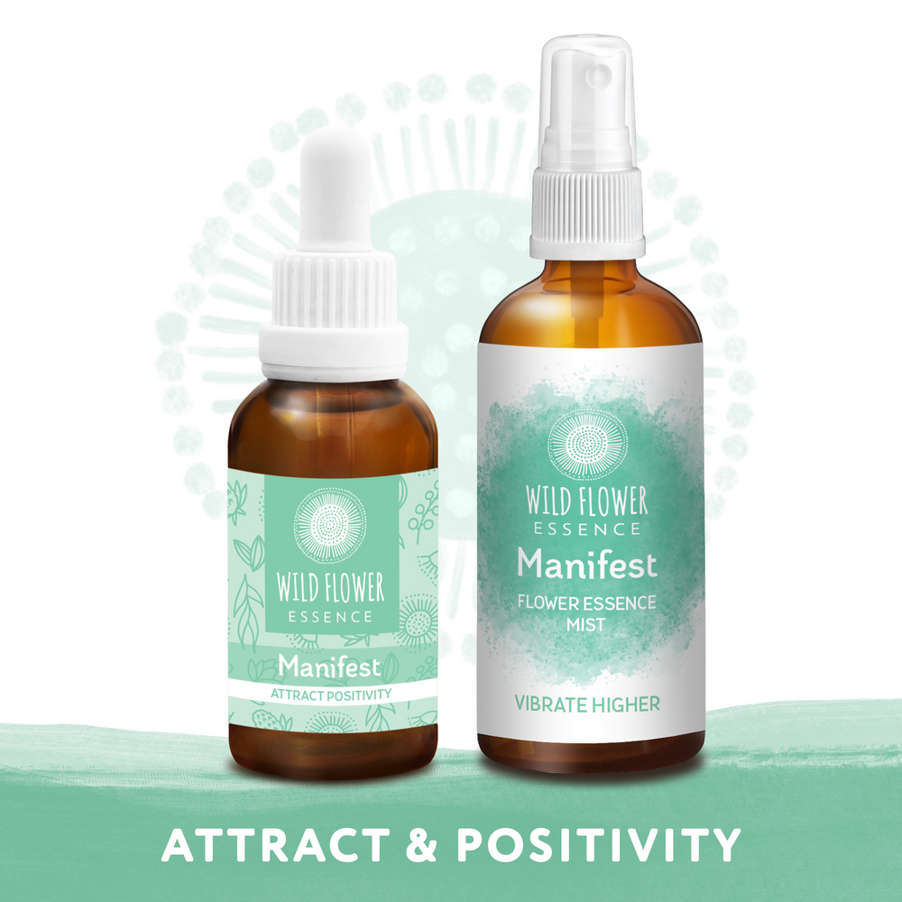 Manifest Duo Pack blend and mist
