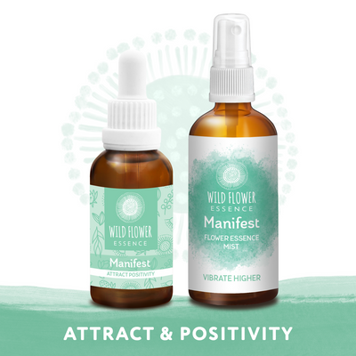 Manifest Duo Pack