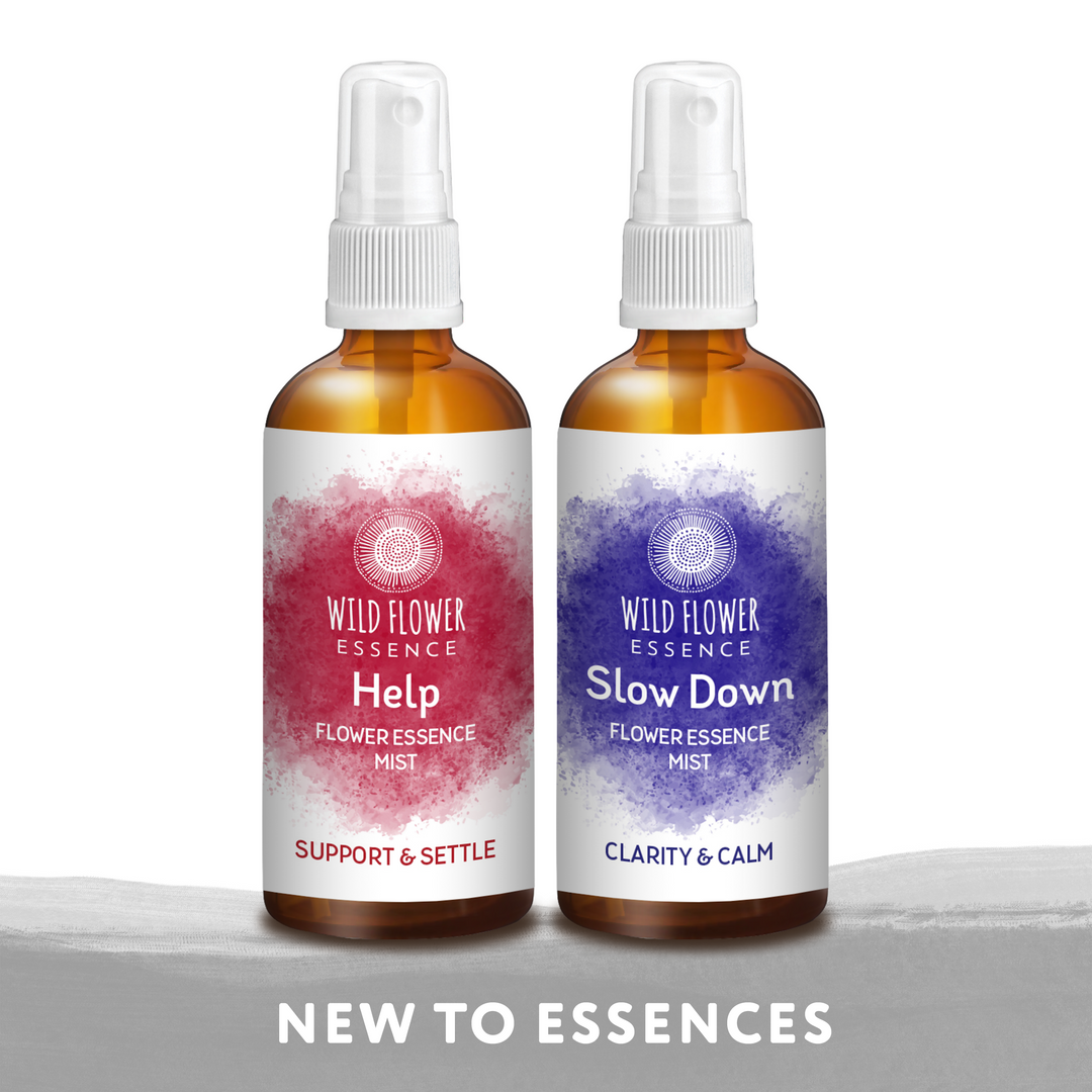 Naughty Naturopath Mum - Beginners Mist Pack