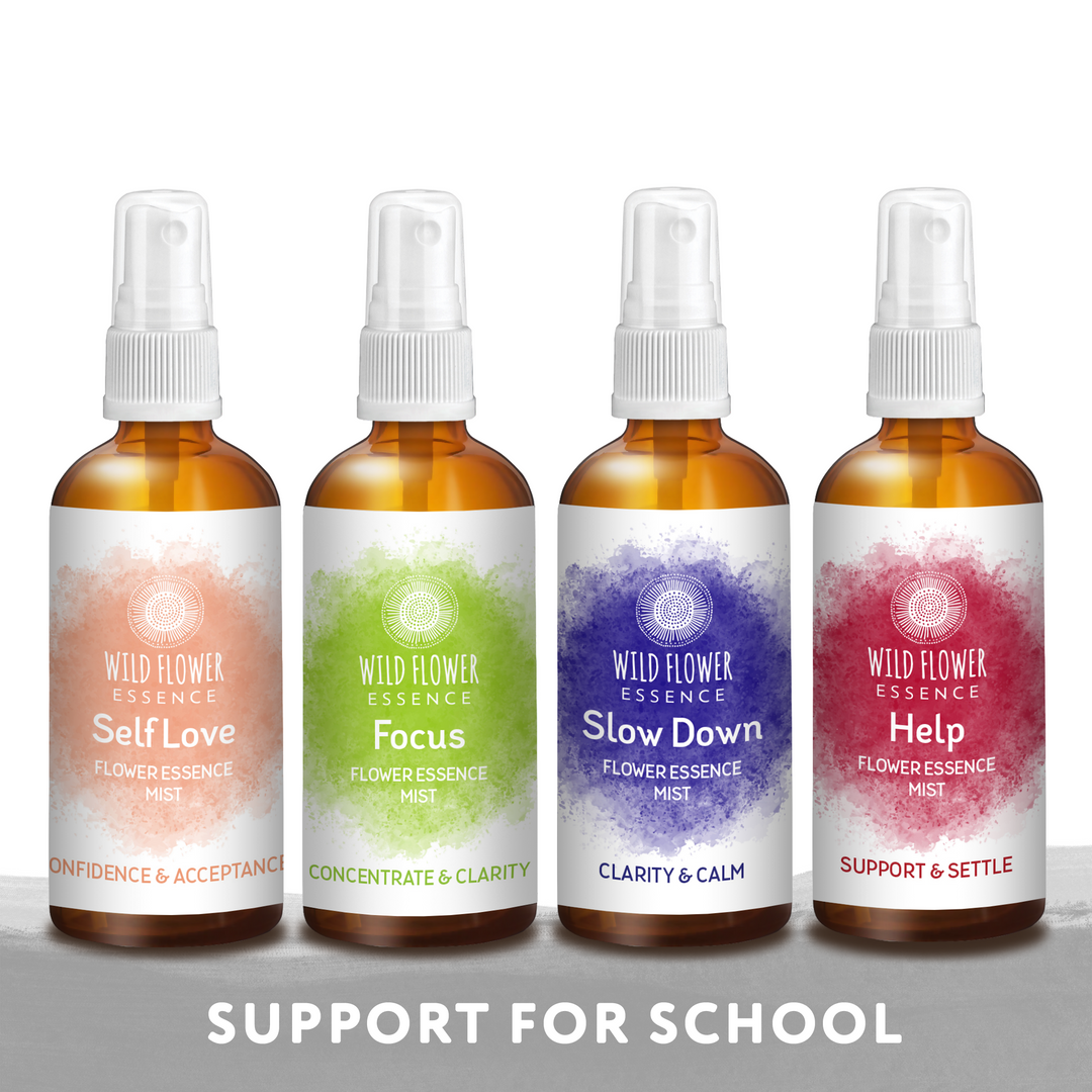 Naughty Naturopath Mum - School Mist Pack