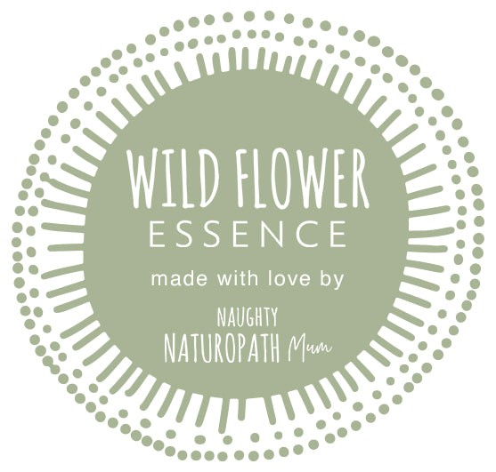 Spring Cleanse Pack
