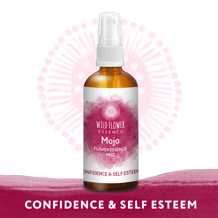 Naughty Naturopath Mum - Mojo Mist