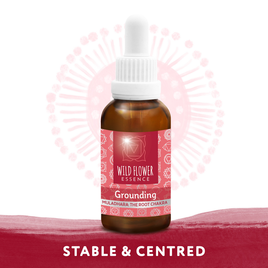 Naughty Naturopath Mum - Grounding Wild Flower Essence
