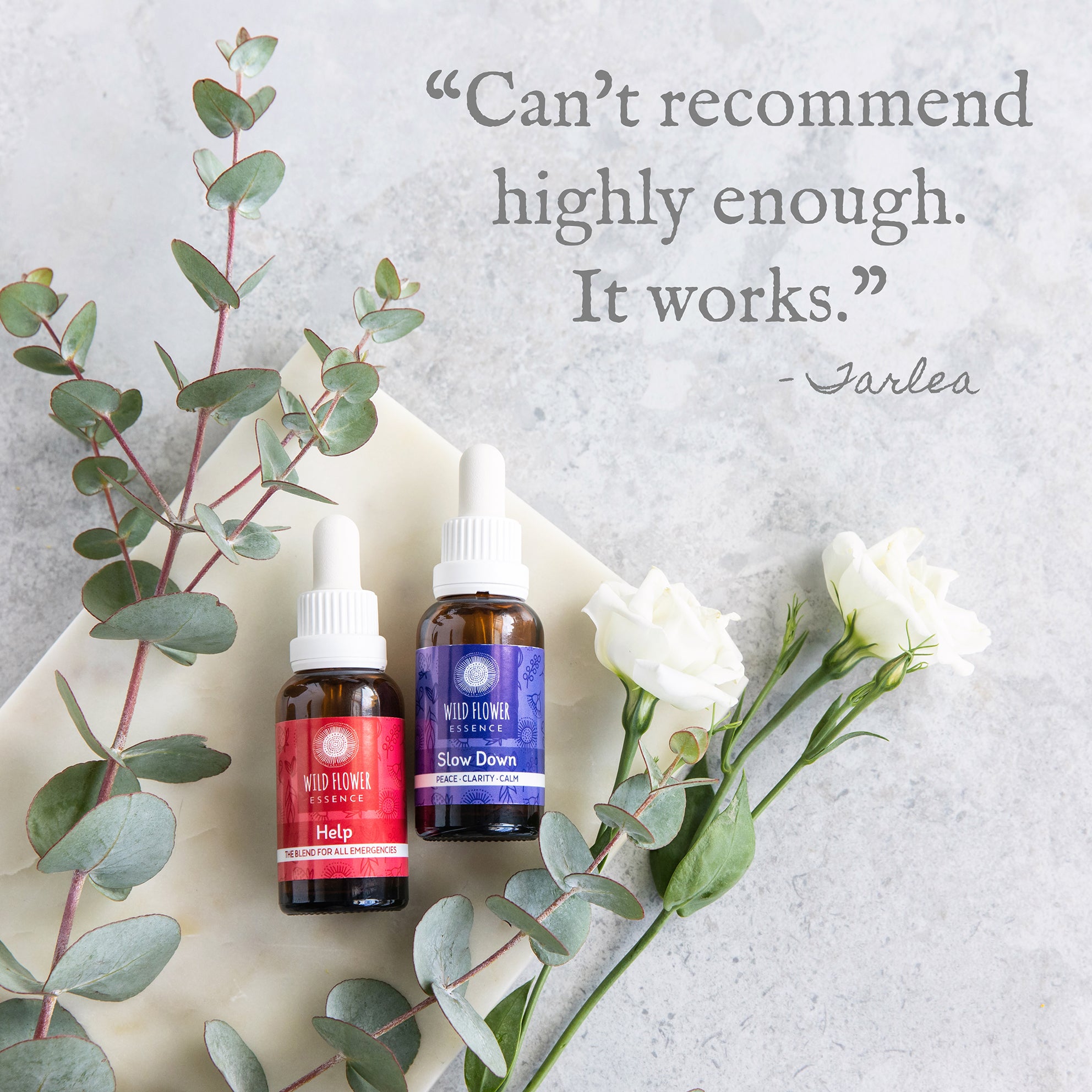 Naughty Naturopath Mum - Beginners Blend Pack