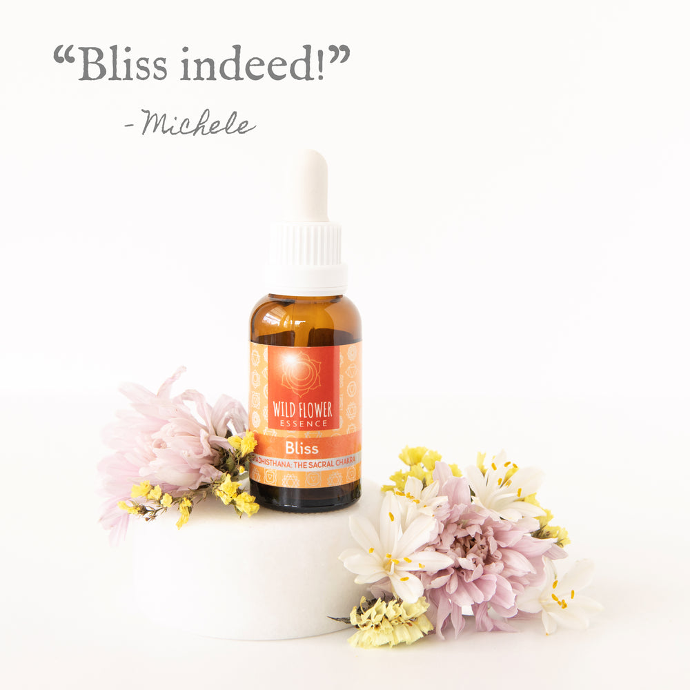 Naughty Naturopath Mum - Bliss Wild Flower Essence