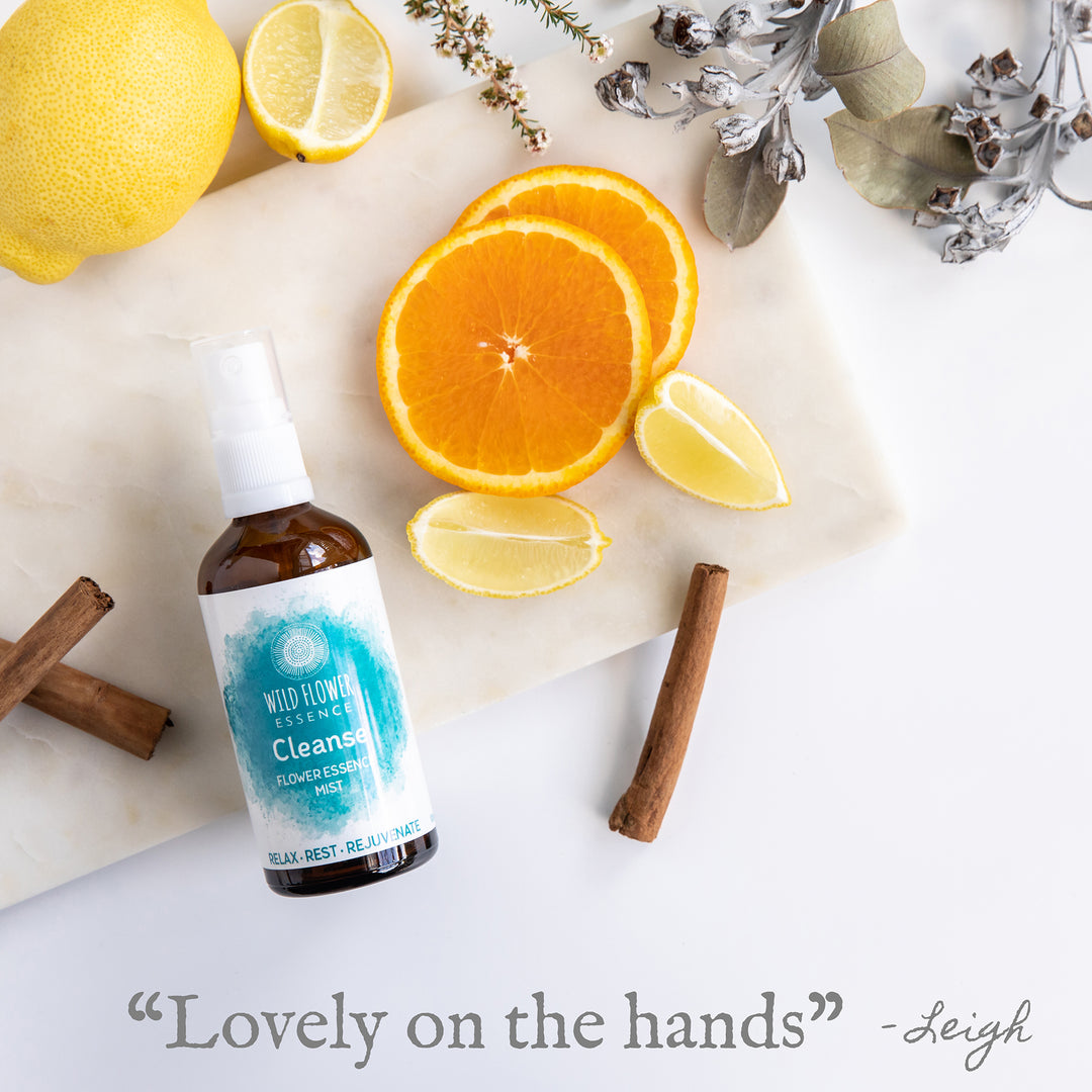 Naughty Naturopath Mum - Cleanse Mist