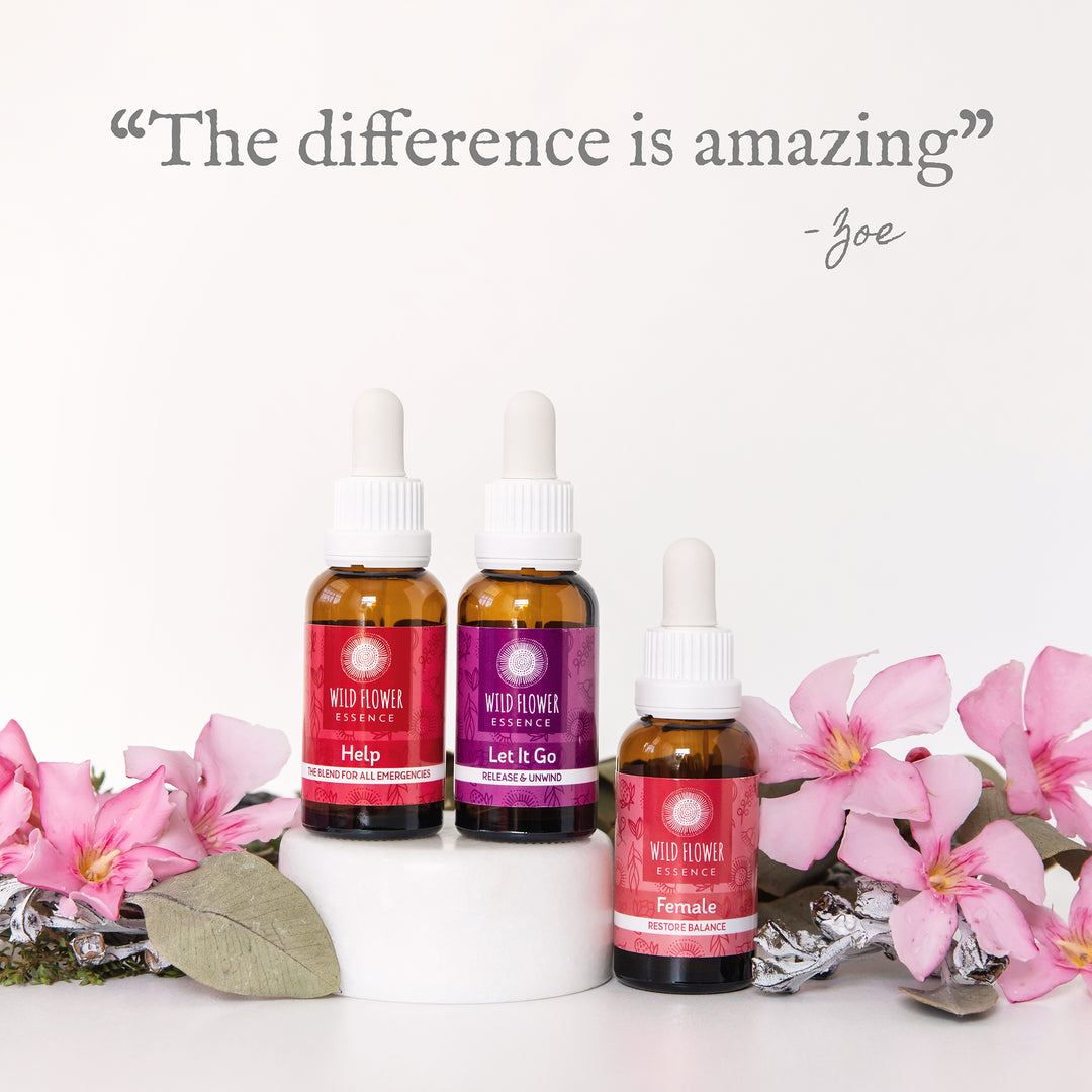 Naughty Naturopath Mum - Female Support Blend Pack