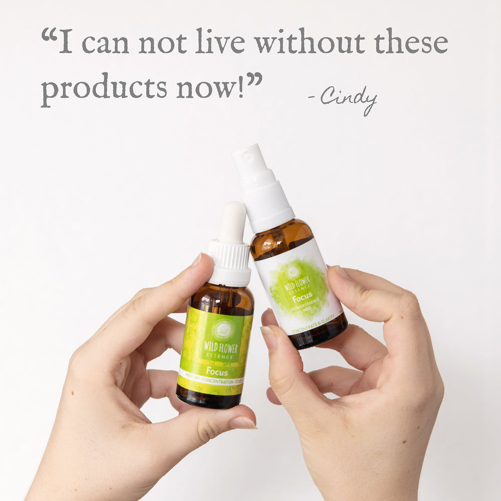 Focus Duo Pack blend and mist