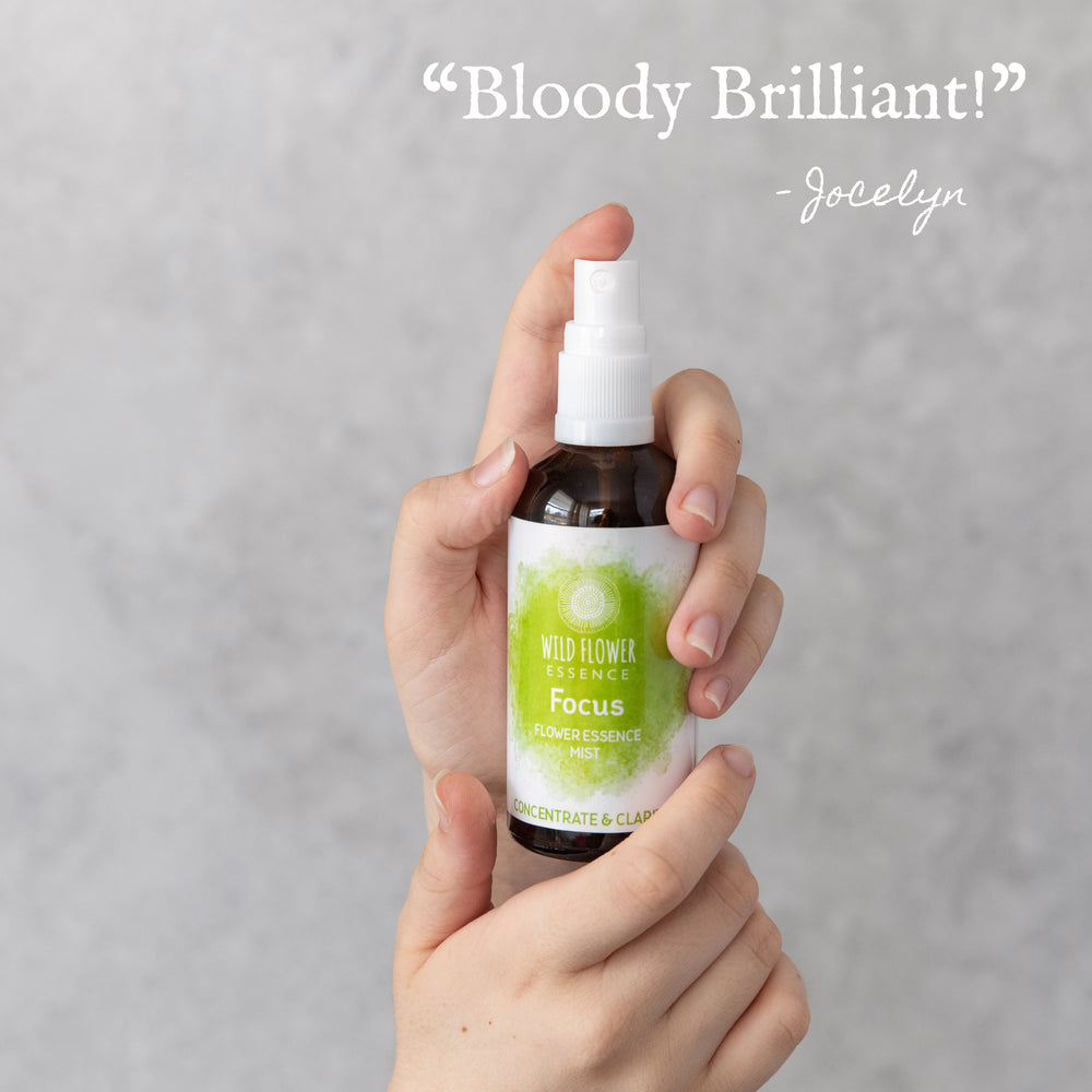 Naughty Naturopath Mum - Focus Mist