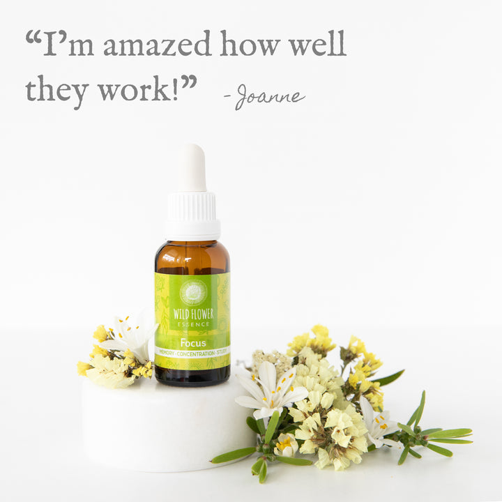 Naughty Naturopath Mum - Focus Wild Flower Essence