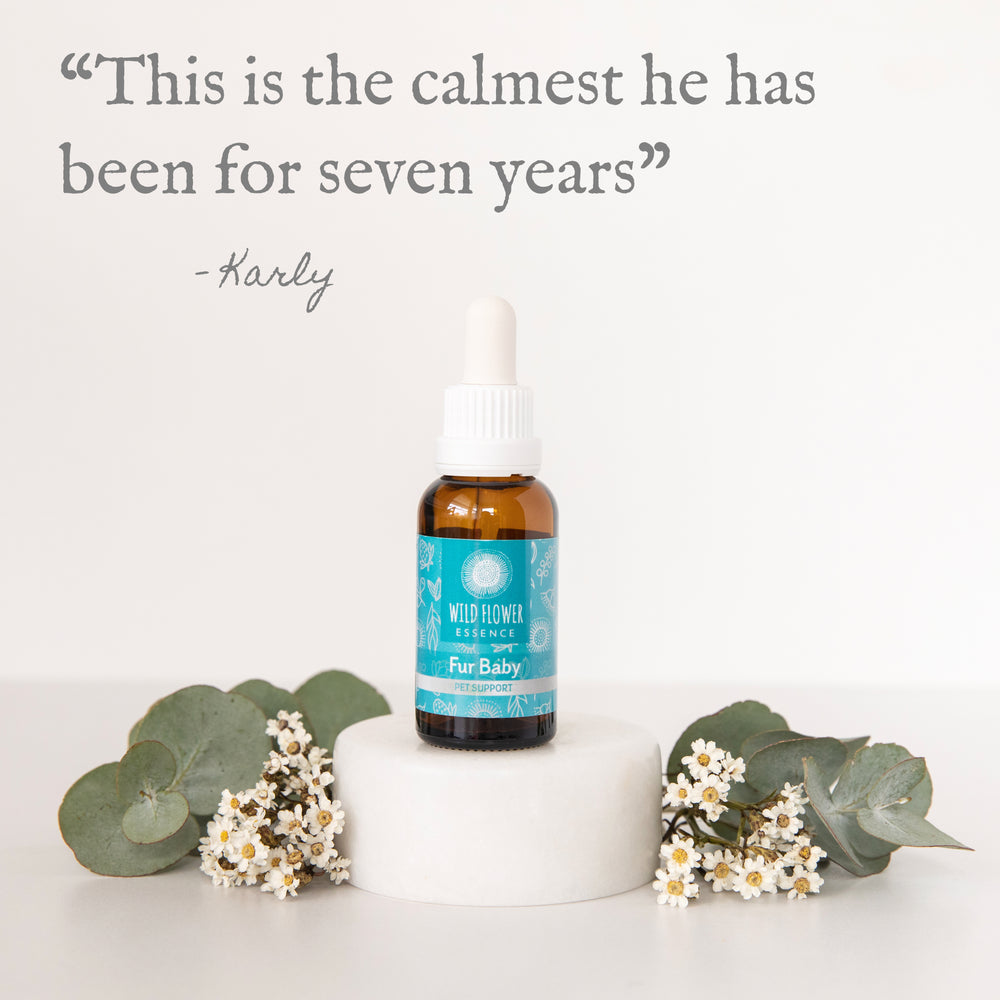 Naughty Naturopath Mum - Fur Baby Wild Flower Essence